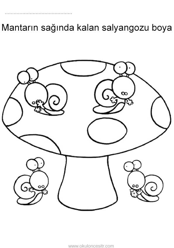 Sağında Solunda Çalışma Sayfası