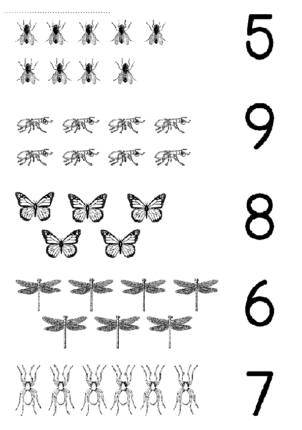 Sayı Rakam Eşleştirme Sayfası