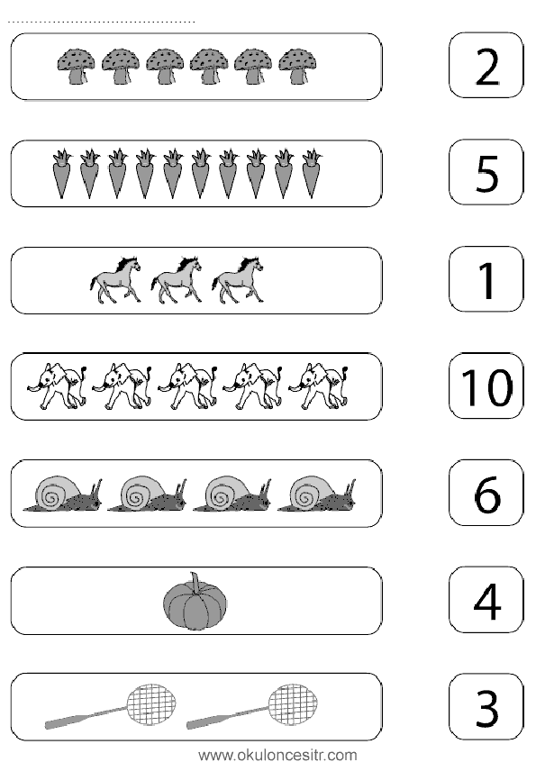 Sayı Rakam Eşleştirme Sayfası