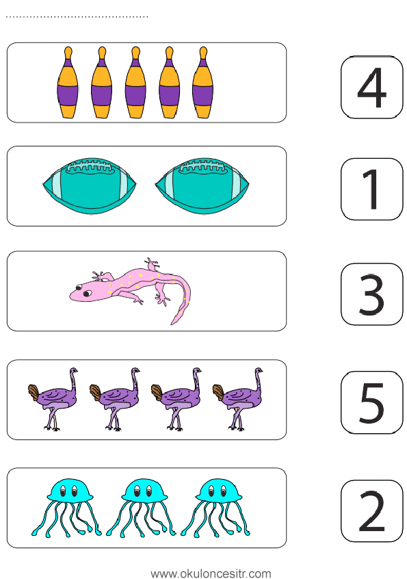 Sayı Rakam Eşleştirme Sayfası