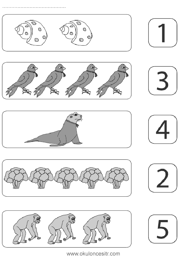 Sayı Rakam Eşleştirme Sayfası