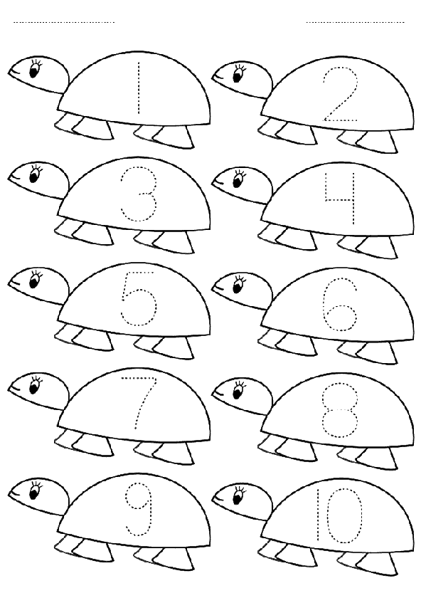 Sayı Rakam Çalışma Sayfası