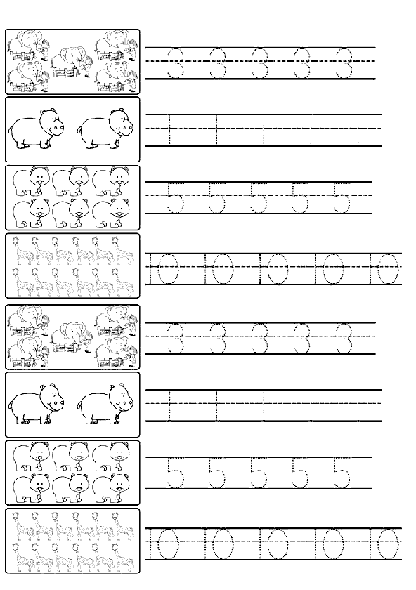 Sayı Rakam Çalışma Sayfası