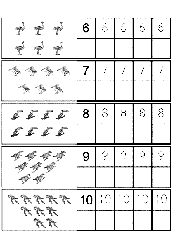 Sayı Rakam Çalışma Sayfası