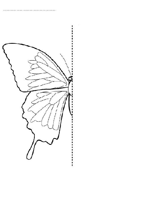 Kelebek Simetri Tamamlama Sayfası