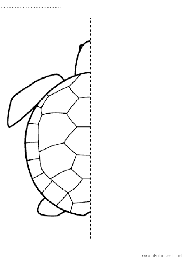 Kaplumbağa Simetri Tamamlama Sayfası