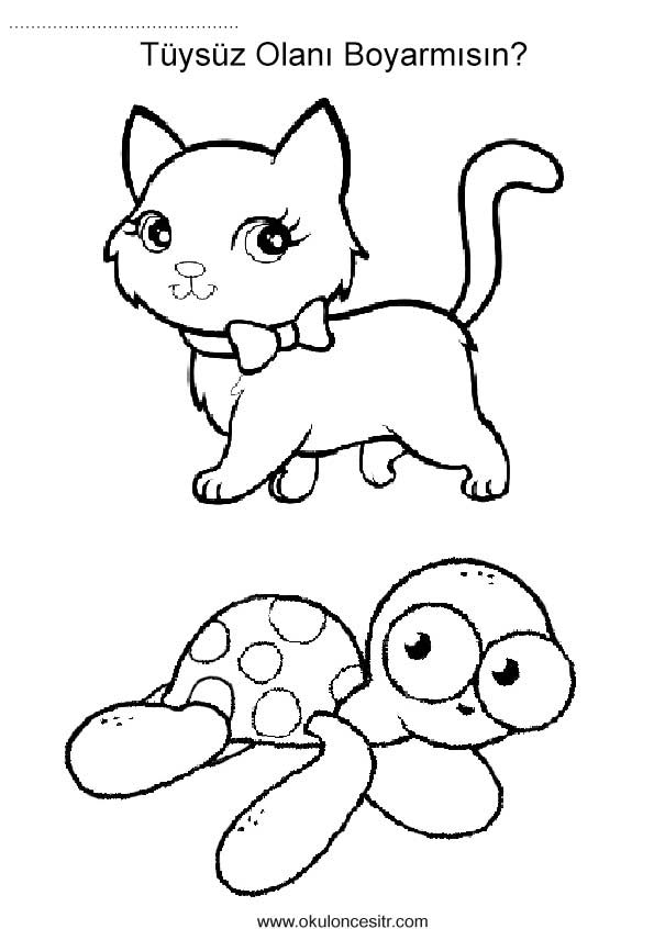 Tüylü Tüysüz Kavramı