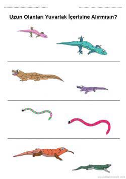 uzunkisakavrami ()-1502897541g4kn8