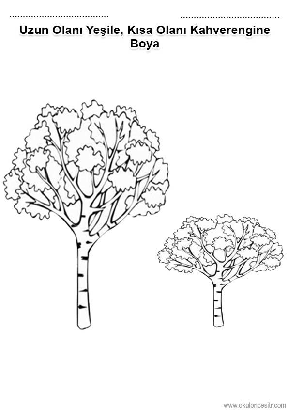 Uzun Kısa Çalışma Kağıdı