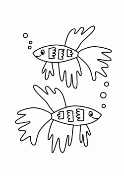 balikboyamasayfasi ()-1506359439g4n8k