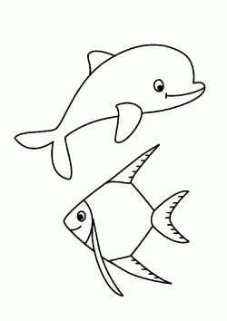 balikboyamasayfasi ()-1506359467n48kg