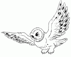 baykusboyamasayfasiovl ()-150442618148gnk