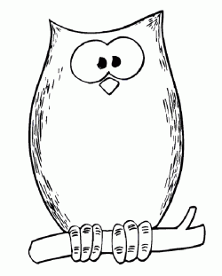 baykusboyamasayfasiovl ()-15044263238ng4k