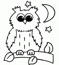 baykusboyamasayfasiovl ()-1504426594k4n8g