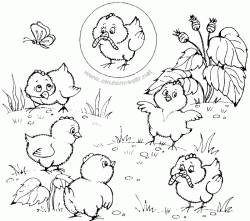 civcivboyamasayfasichick ()-1504426980n8gk4