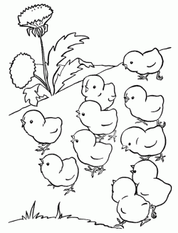 civcivboyamasayfasichick ()-1504427496g4n8k