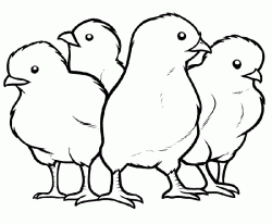 civcivboyamasayfasichick ()-15044276244k8ng