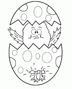 civcivboyamasayfasichick ()-1504427691kng48