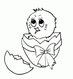 civcivboyamasayfasichick ()-1504427724n48kg