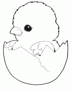 civcivboyamasayfasichick ()-1504427797gk84n