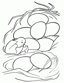 civcivboyamasayfasichick ()-15044278074n8gk