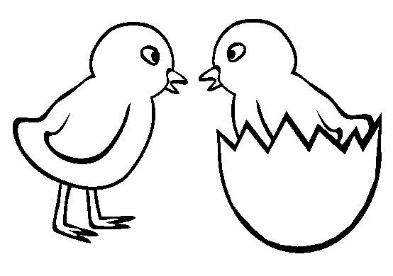 Civciv Boyama Sayfası