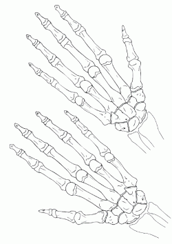 elkemigiboyamasayfasi ()-1506356154n8gk4