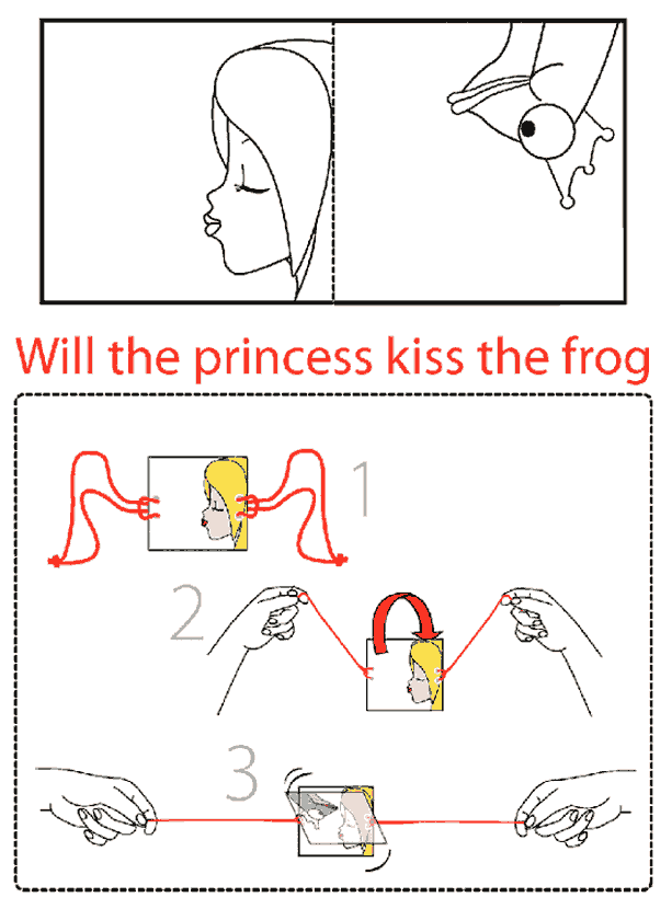 Kurbağa Prenses Kalıbı