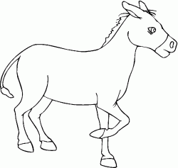 esekboyamasayfasidonkey ()-15044311418gn4k