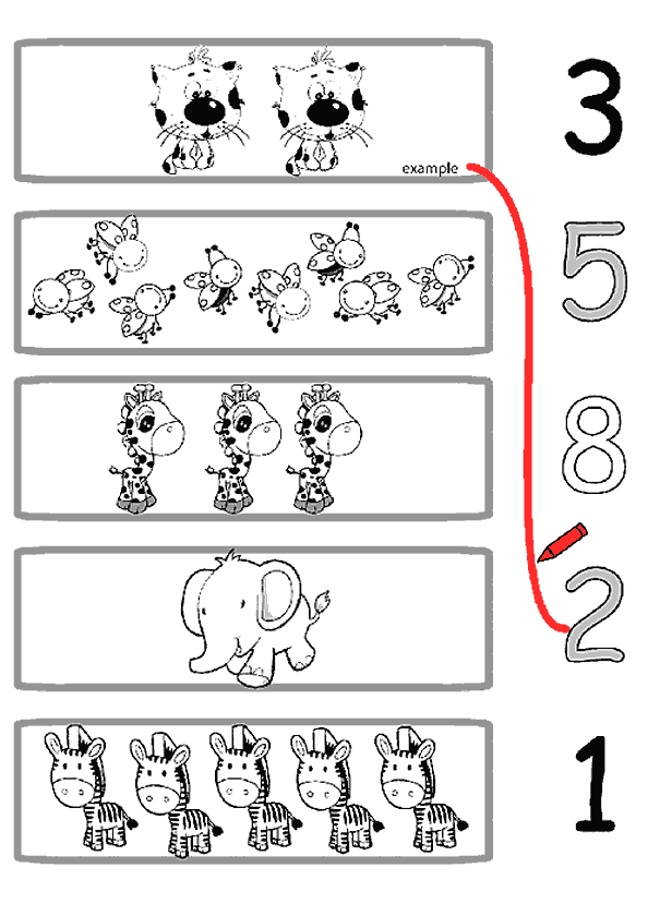 Eşleştirme Çalışma Kağıdı