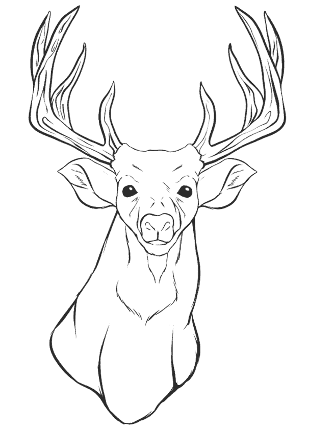 Geyik Ceylan Boyama Sayfası