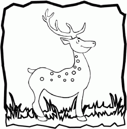 geyikceylanboyamasayfasideer ()-1504432747g4kn8