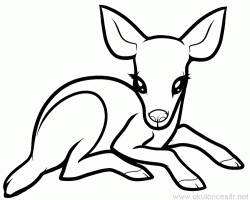 geyikceylanboyamasayfasideer ()-15044328628nkg4