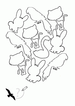 hayvankalibi ()-150658269548kng