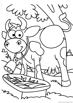 inek-boyama-cow-coloring-page (2)