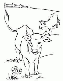 inekboyamasayfasicow ()-15044380948k4ng