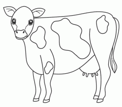 inekboyamasayfasicow ()-1504438248g48kn