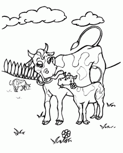 inekboyamasayfasicow ()-1504438364k48gn