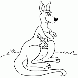 kanguruboyamasayfasikangaroo ()-1504438784n8kg4