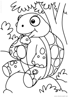 kaplumbaga-boyama-sayfasi (5)