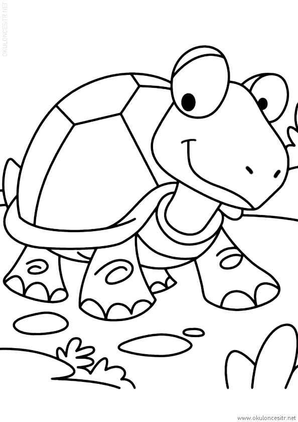 Kaplumbağa Boyama Sayfası