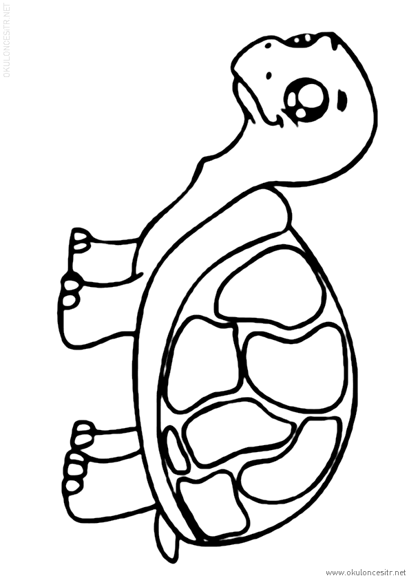Kaplumbağa Boyama Sayfası