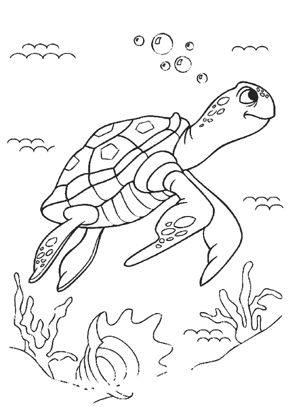 Kaplumbağa Boyama Sayfası