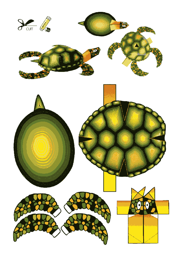 Kaplumbağa Kalıbı