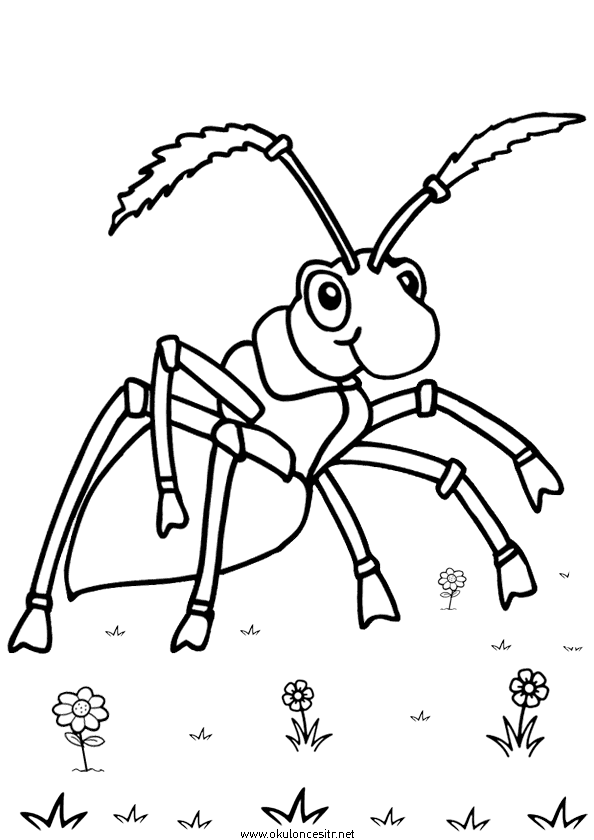 Karınca Boyama Sayfası