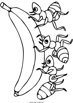 karinca-boyama-ant-coloringpage (17)