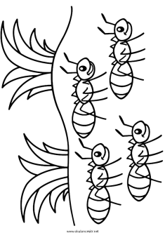 karinca-boyama-ant-coloringpage (23)