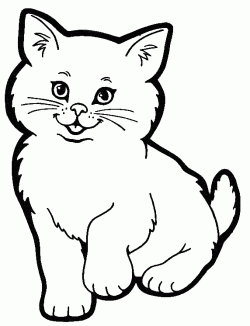 kediboyamasayfasicat ()-1504445611kg8n4