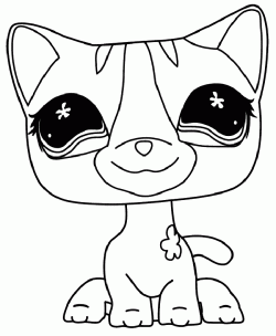 kediboyamasayfasicat ()-1504445687k8n4g