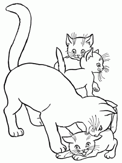 kediboyamasayfasicat ()-15044458498nkg4